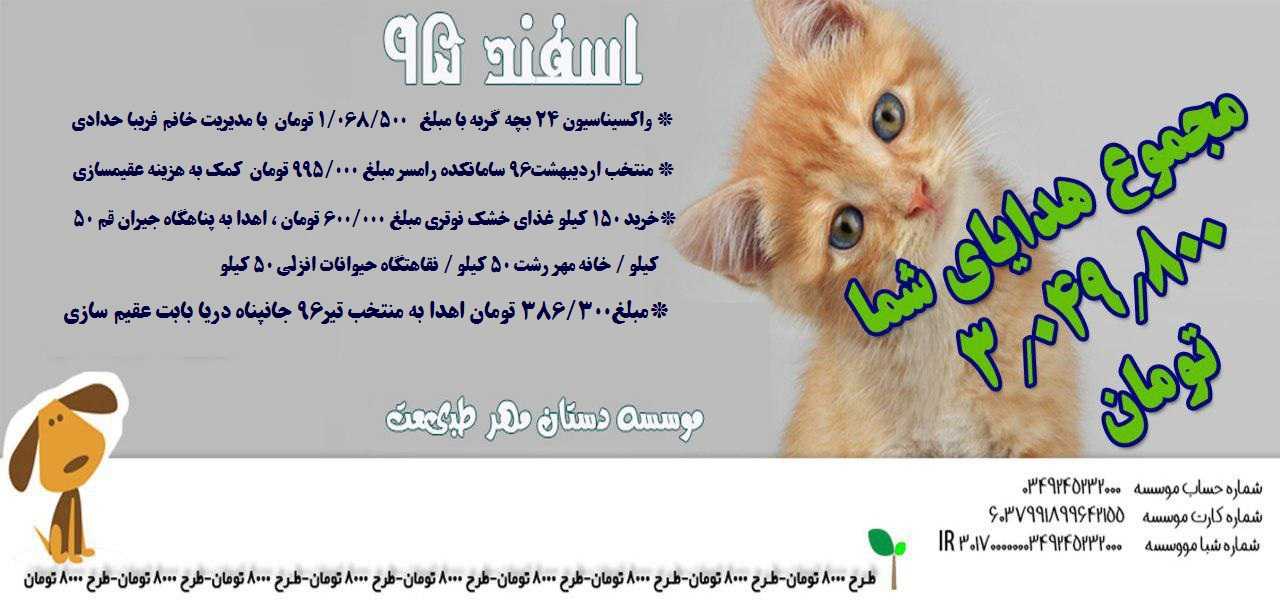برای واکسیناسیون (۲ نوبت) و کیت گذاری ۳۰ الی ۳۵ گربه زیر ۱۲ ماه به کمک مالی شما نیازمندیم